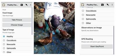 Poultry diseases diagnostics models using deep learning